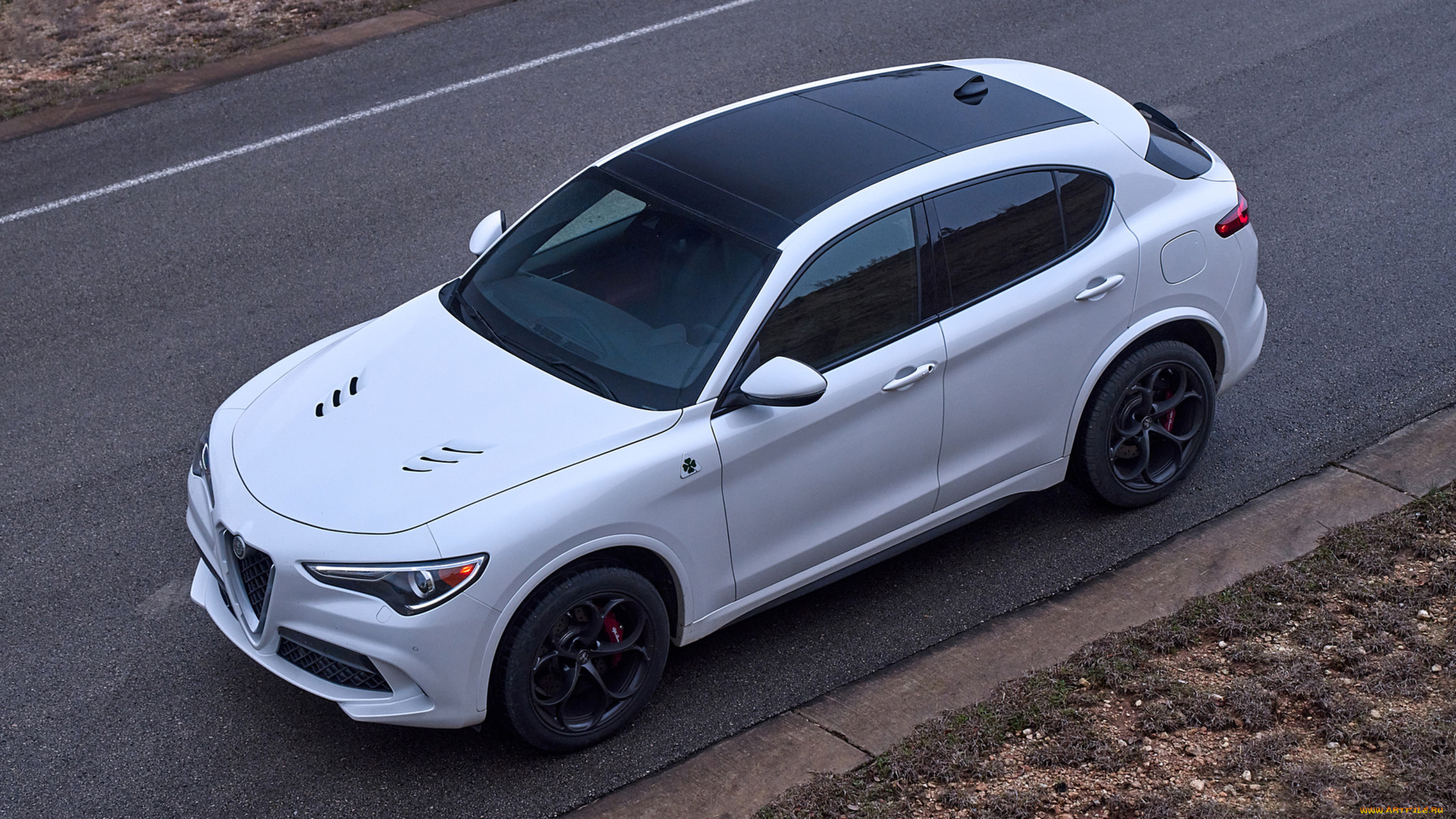 alfa romeo stelvio quadrifoglio 2018, , alfa romeo, , 2018, alfa, romeo, stelvio, quadrifoglio